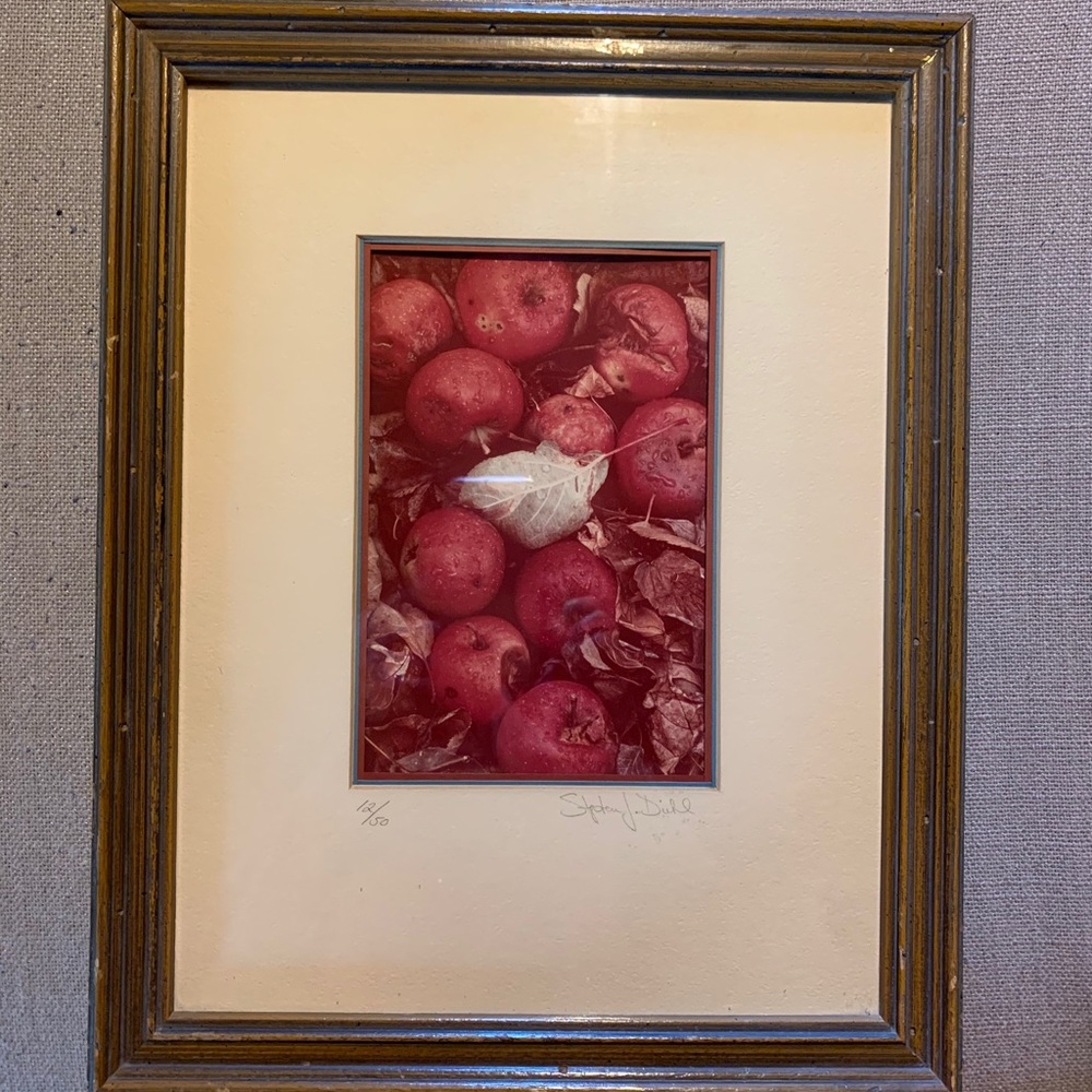 Framed Print, Numbered and Signed, Apples & Leaves